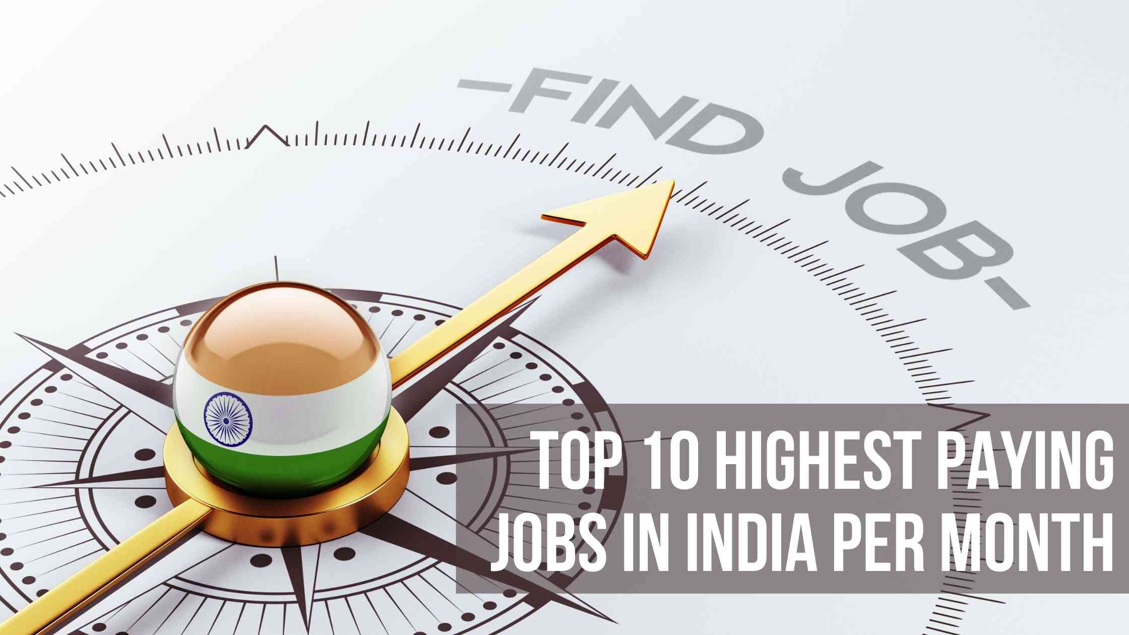 Top 10 Highest Paying Jobs In India Per Month